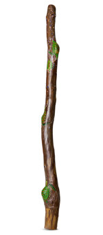 Heartland Didgeridoo (HD317)